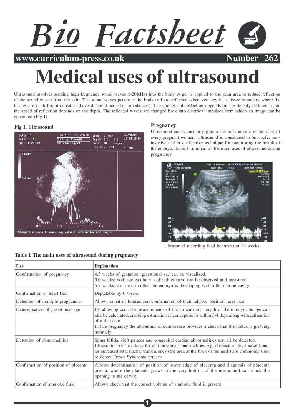 262 Ultrasound