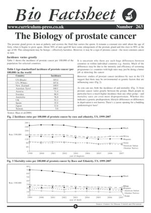 263 Prostate Cancer