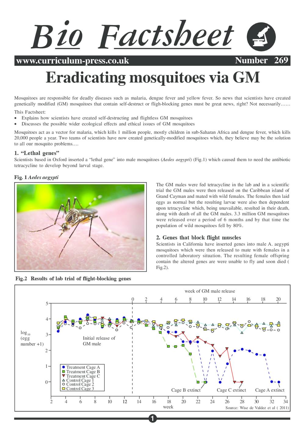 269 Gm Mosquitos