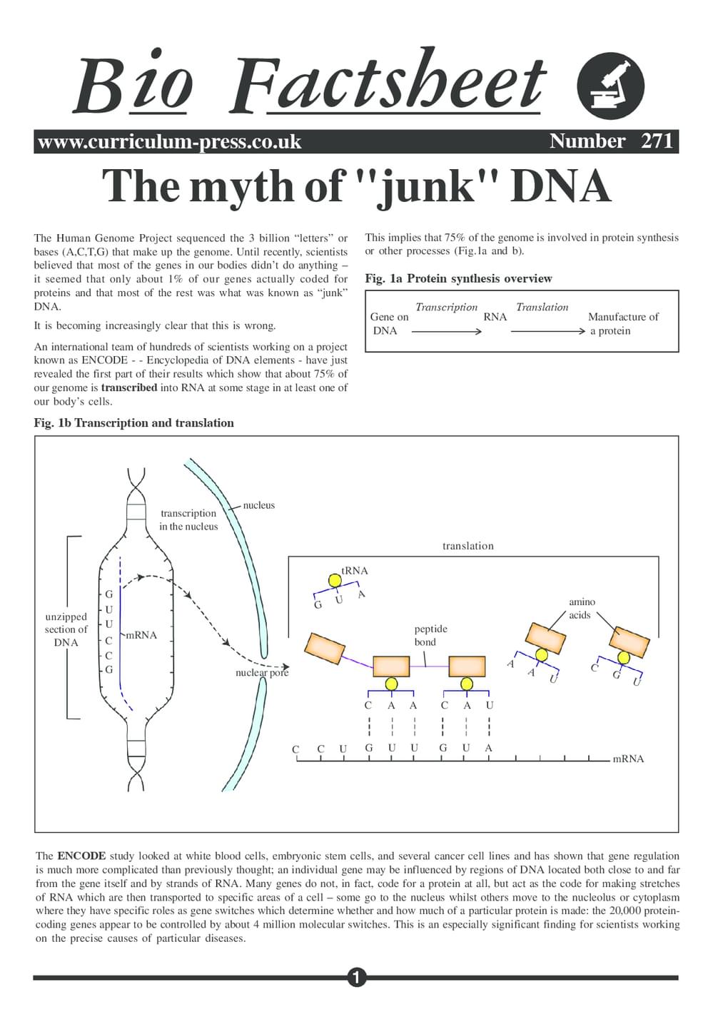 271 Myth Of Junk Dna