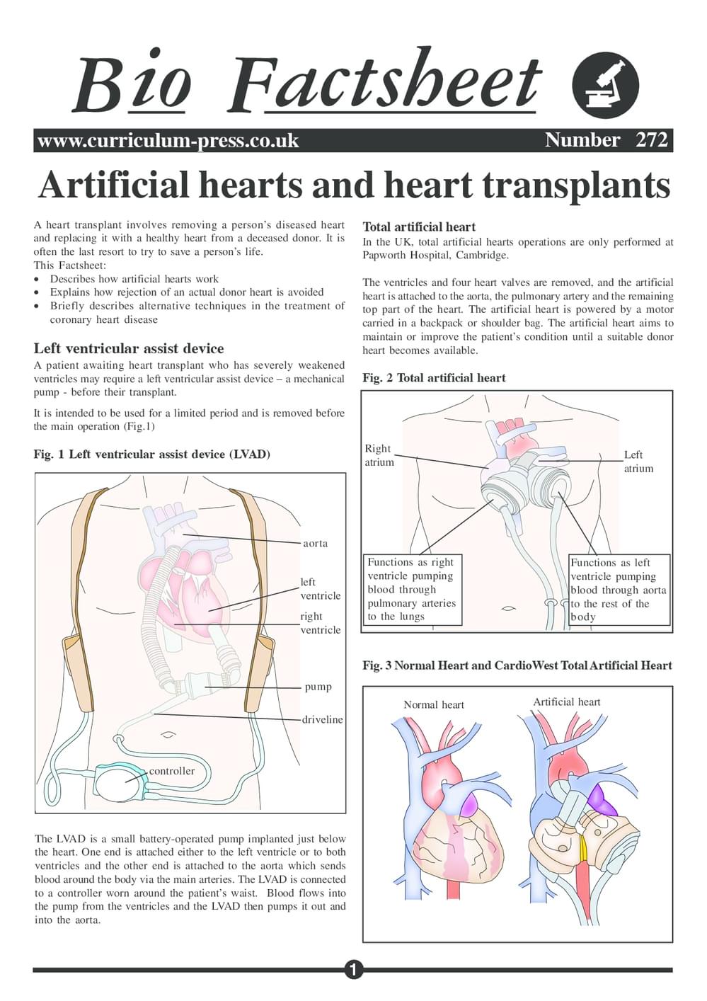 272 Artficial Hearts