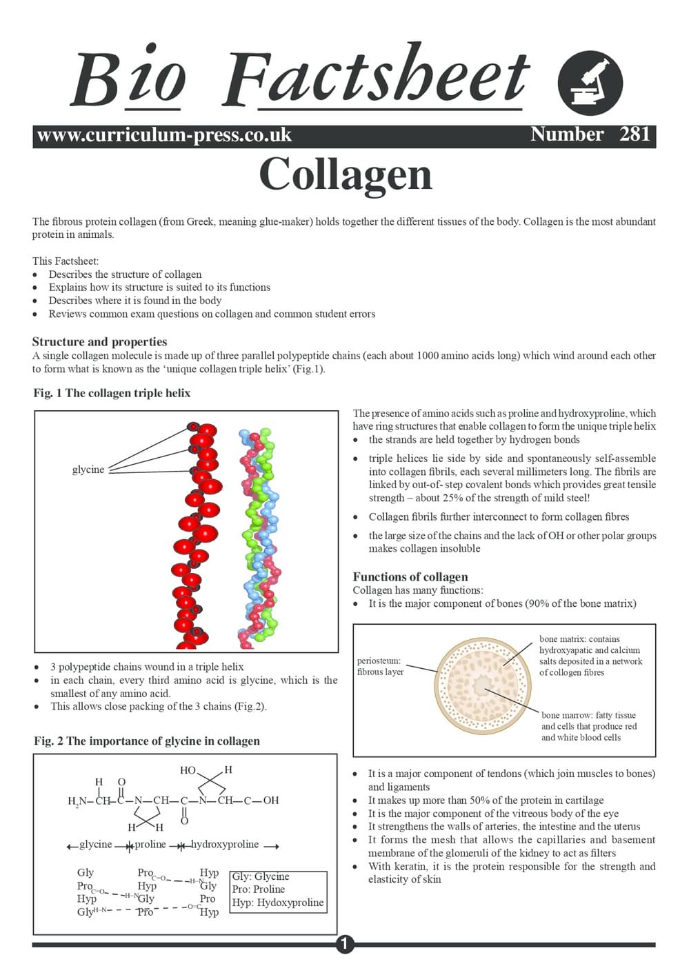 281 Collagen