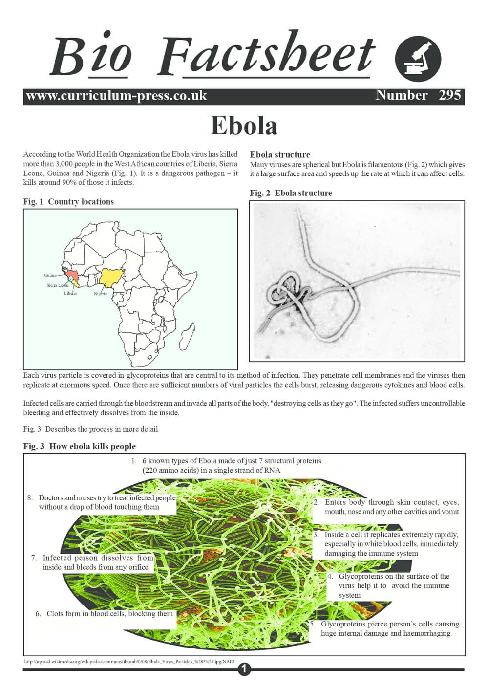 295 Ebola