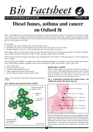 296 Diesel Fumes