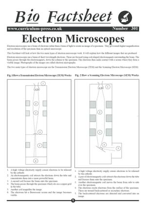 301 Electron Microscope