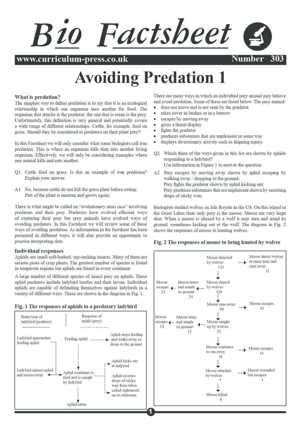 303 Avoiding Predation 1
