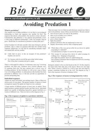 303 Avoiding Predation 1