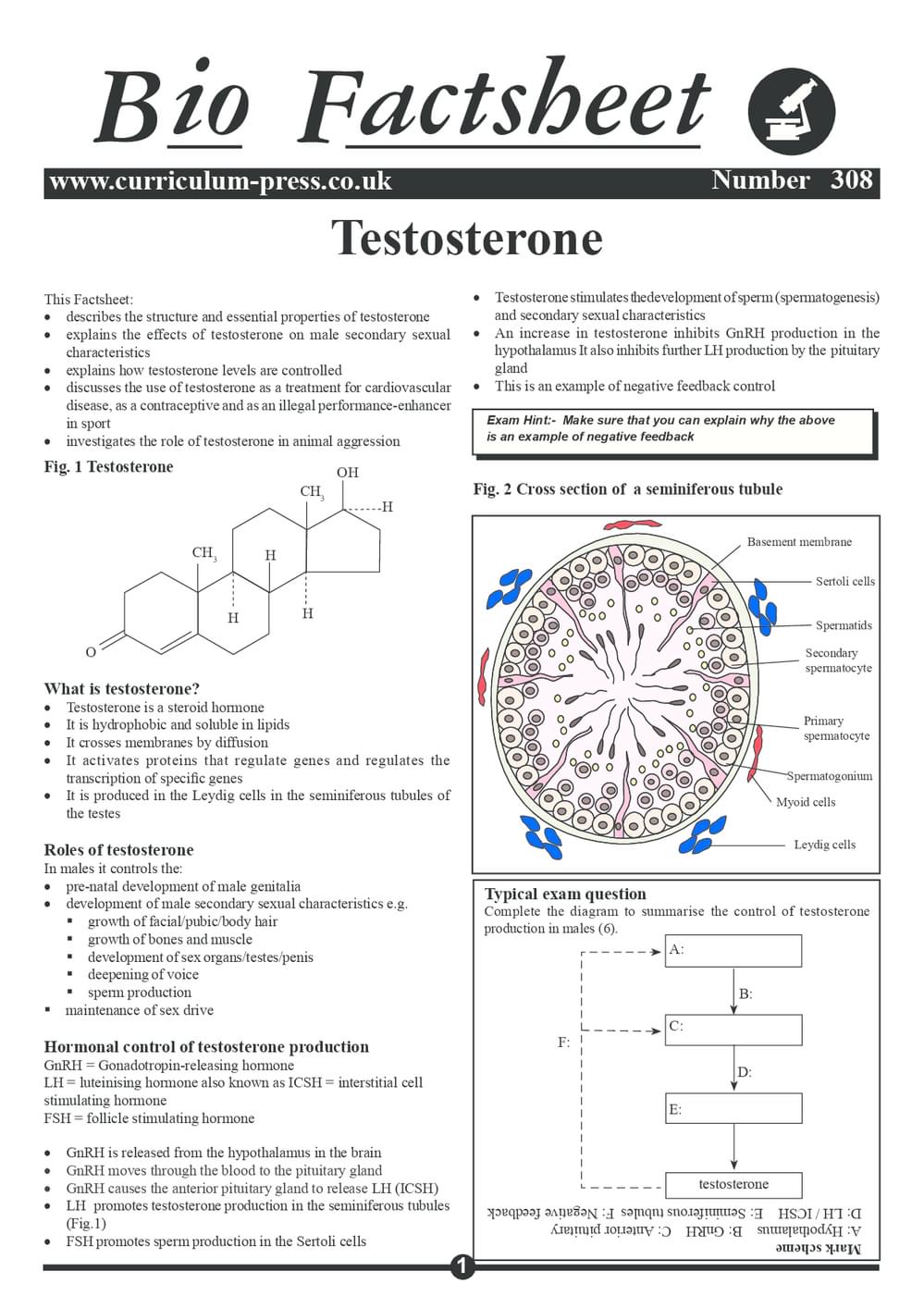308 Testosterone