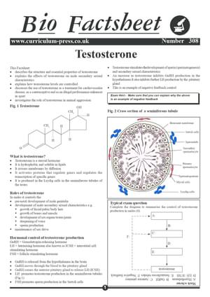 Testosterone Module Testosterone - Curriculum Press