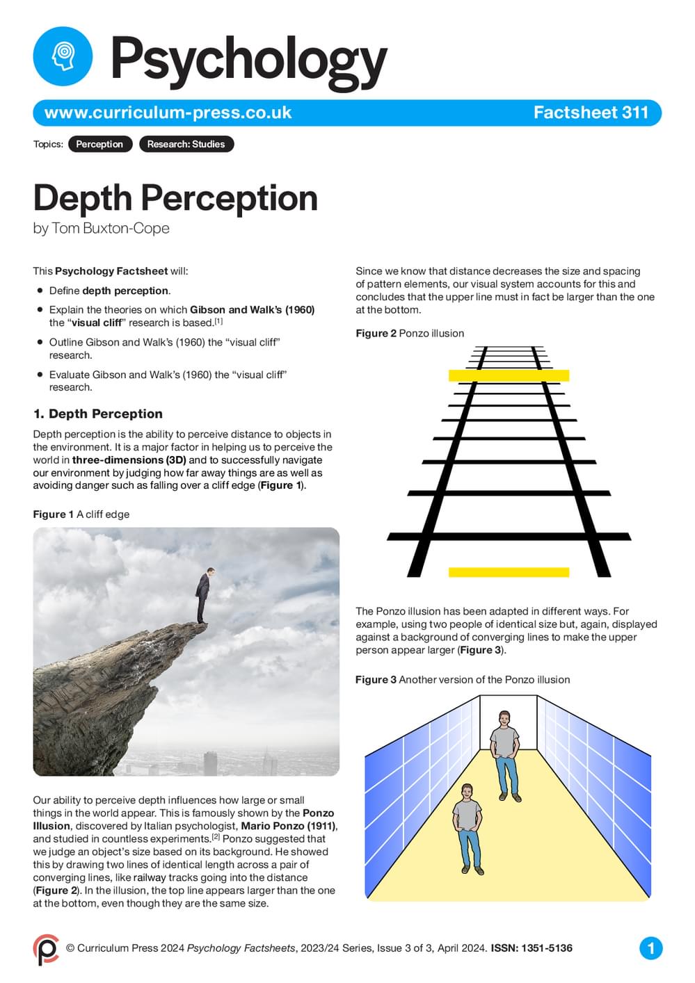 Depth Perception - Curriculum Press