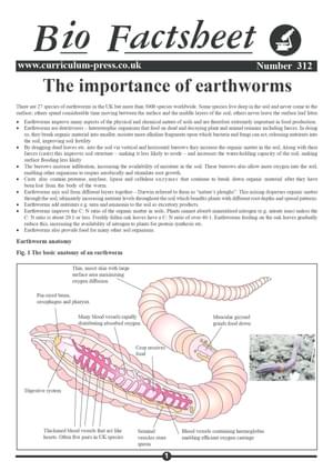 312 The Importance Of Earthworms