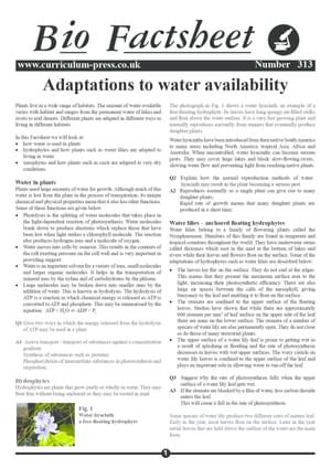 313 Adaptations To Water Availability