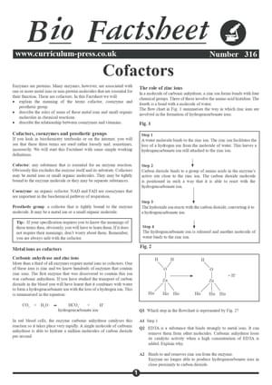 316 Cofactors