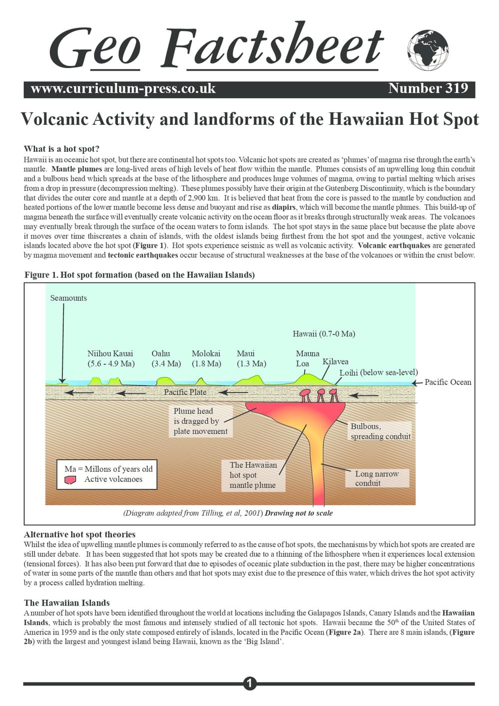 319 Hawaiian Hot Spot