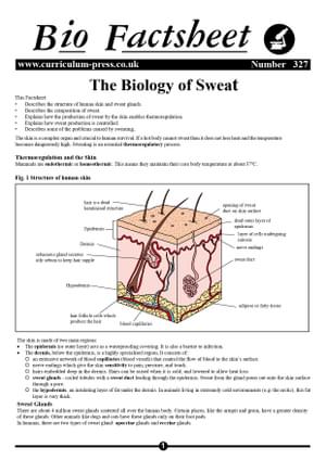 327 The Biology Of Sweat