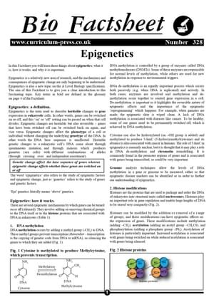328 Epigenetics