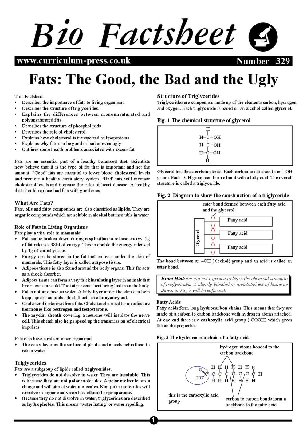 329 Fats The Good the Bad and the Ugly