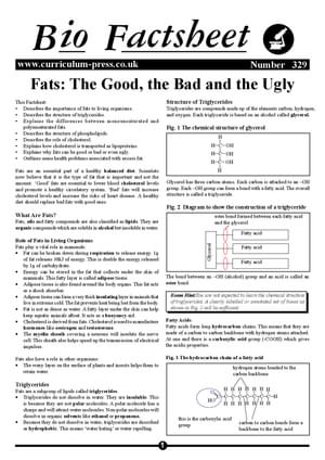 329 Fats The Good the Bad and the Ugly