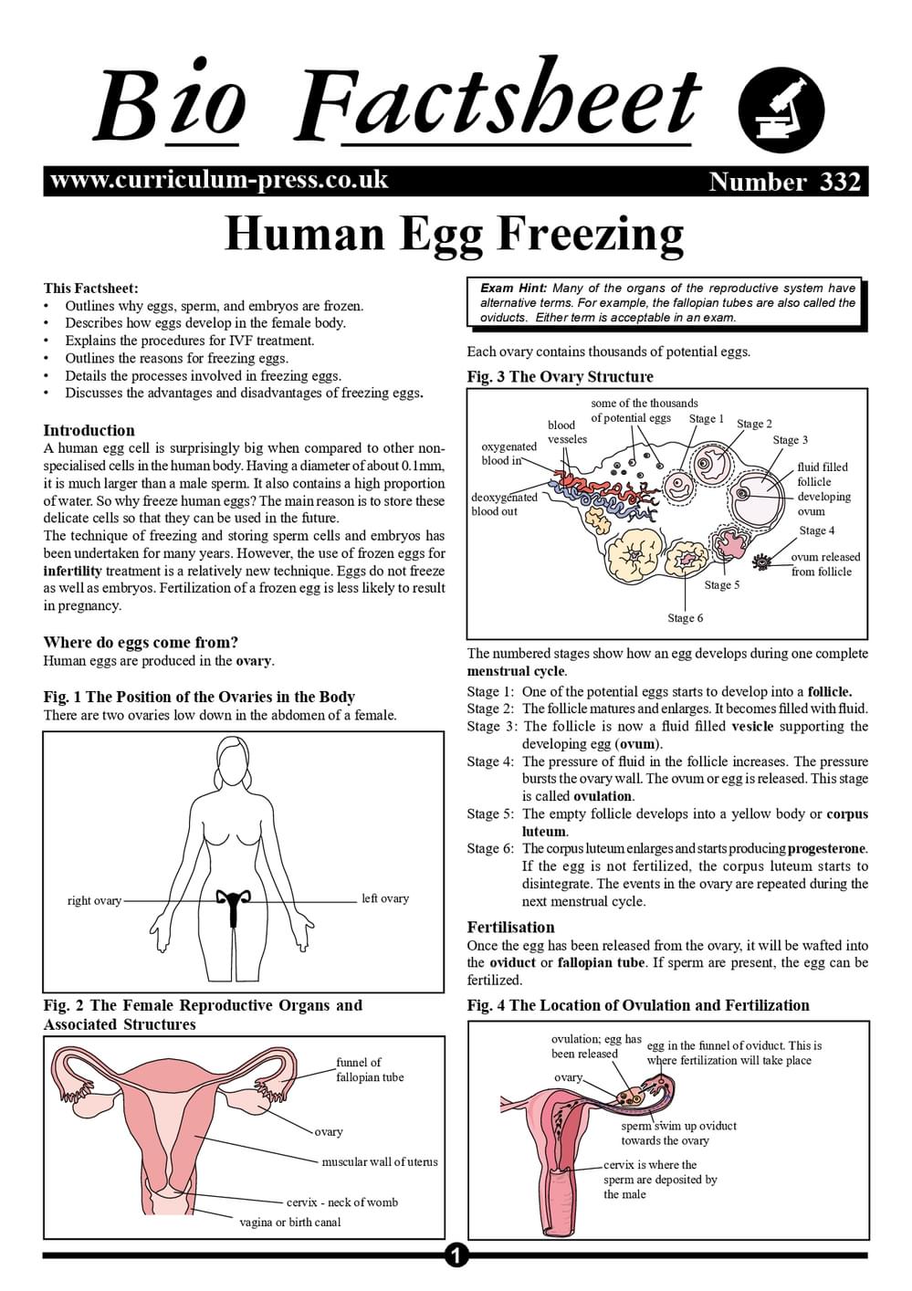 332 Human Egg Freezing