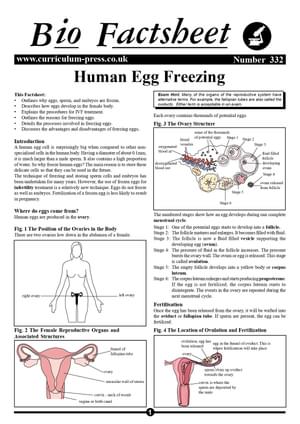 332 Human Egg Freezing