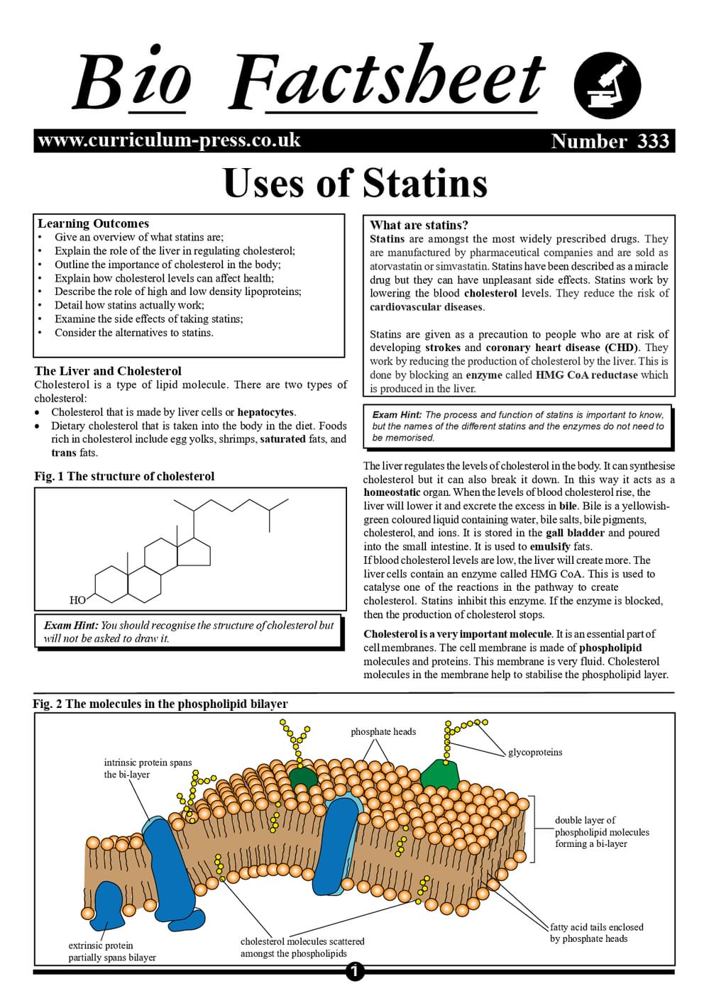 333 Uses Of Statins