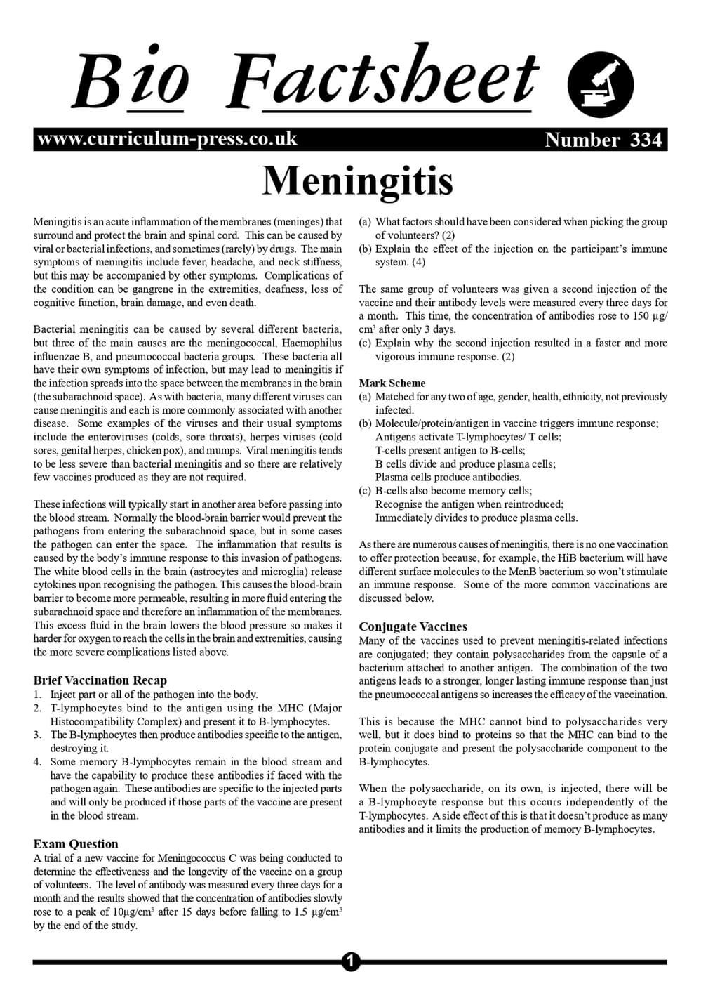 334 Meningitis