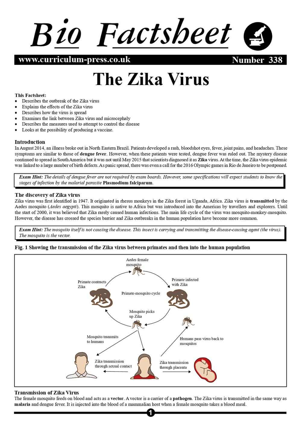338 The Zika Virus