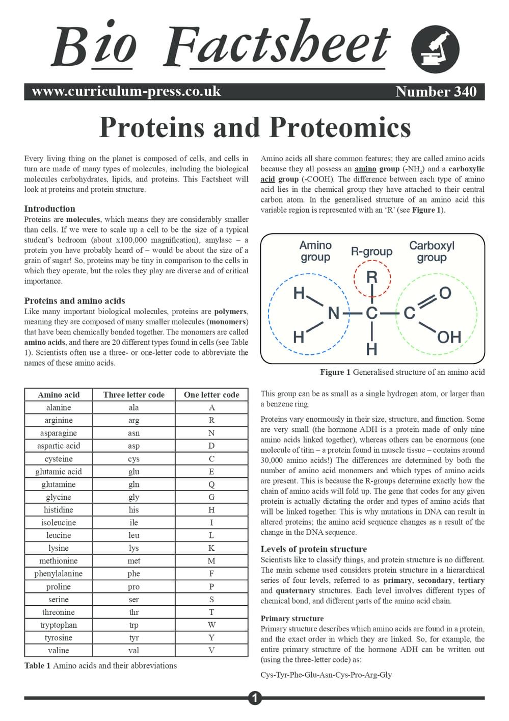 340 Proteins And Proteomics
