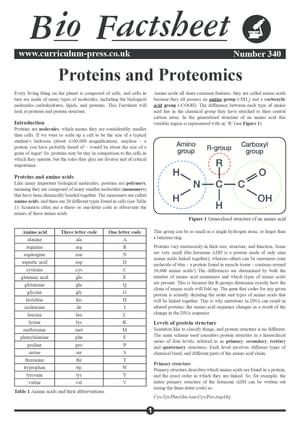 340 Proteins And Proteomics