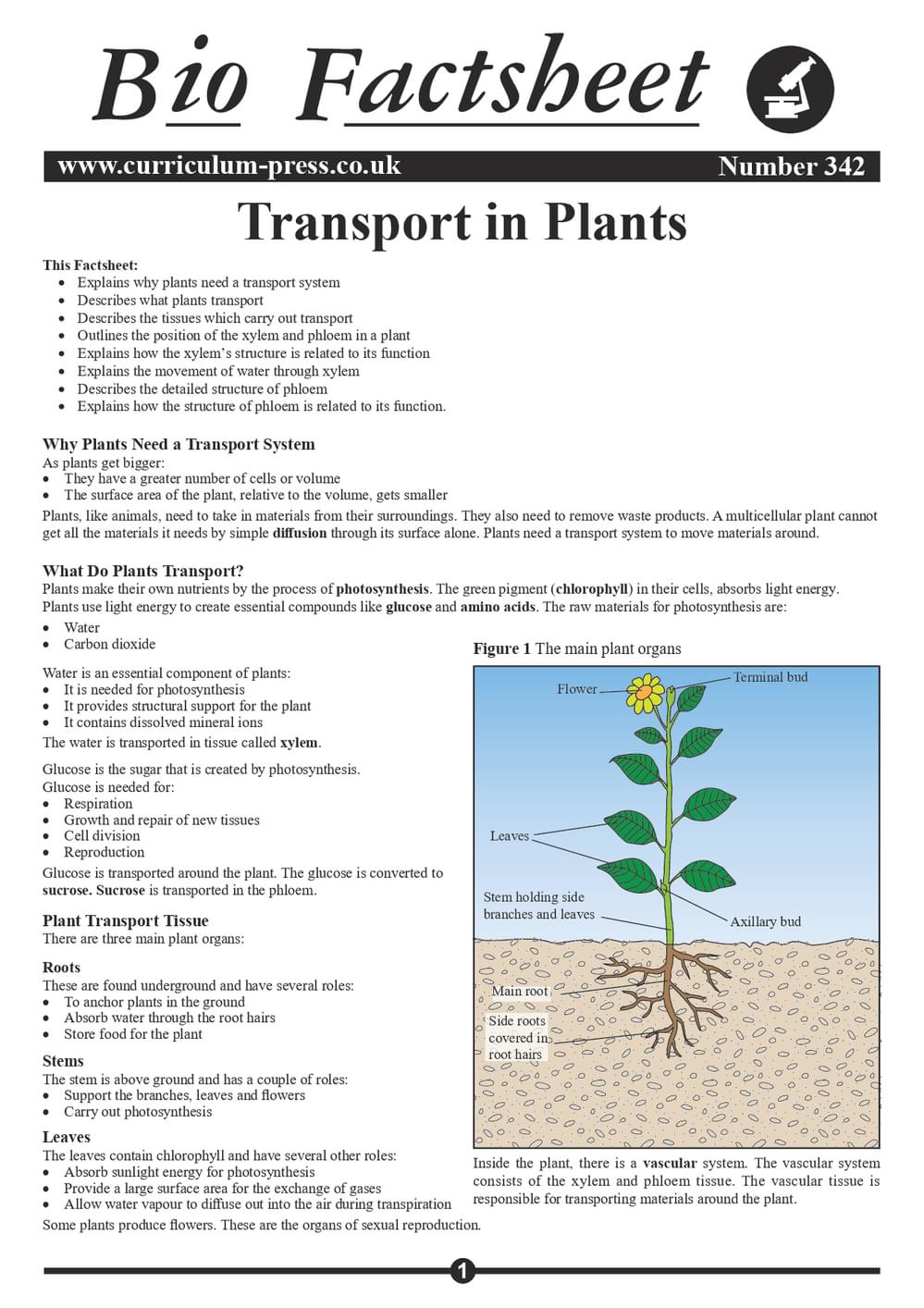 Transport in Plants - Curriculum Press