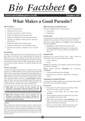 347 Good Parasite