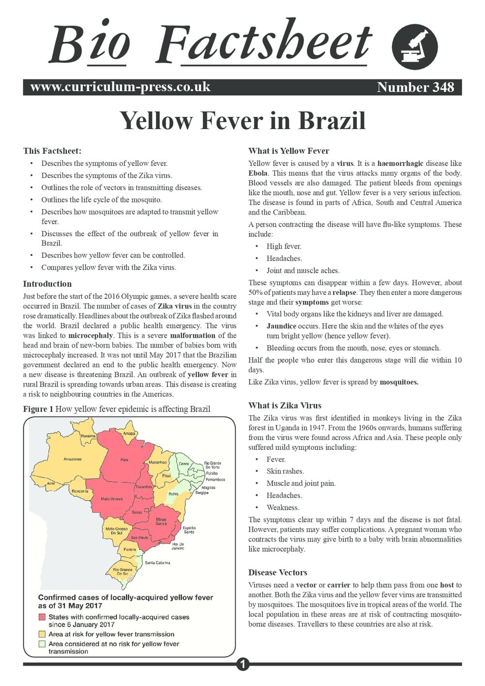 348 Yellow Fever