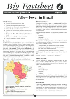 348 Yellow Fever