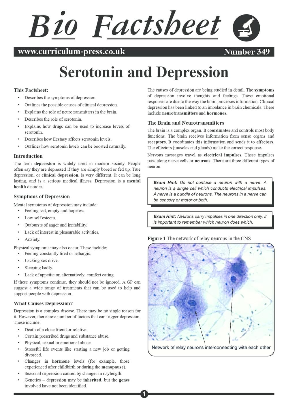349 Serotonin And Depression