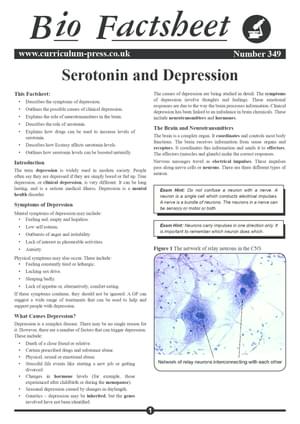 349 Serotonin And Depression