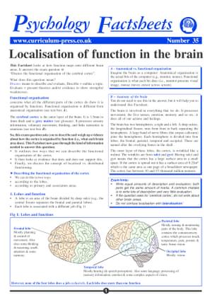 35 Brain Localisation