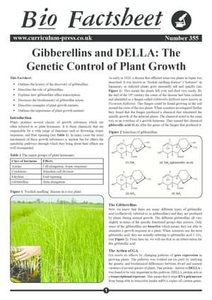355 Della Proteins And Gibberellins