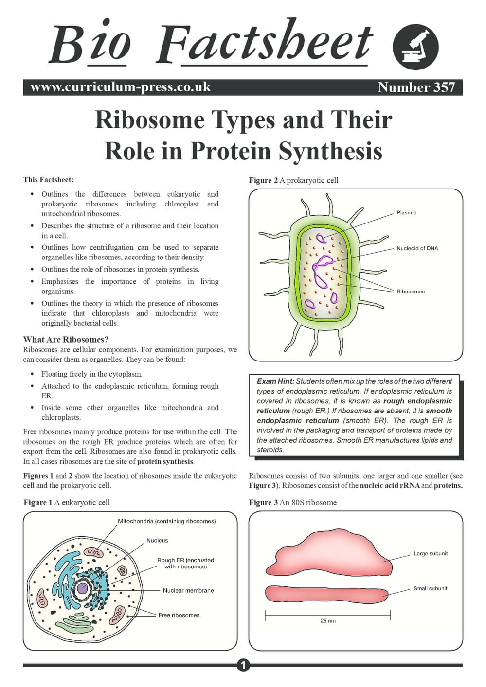 357 Ribosome Types And Their Role In Protein Synthesis