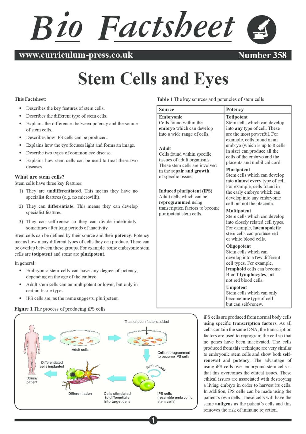 358 Stem Cells And Eyes