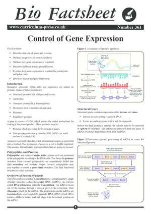 361 Control Of Gene Expression