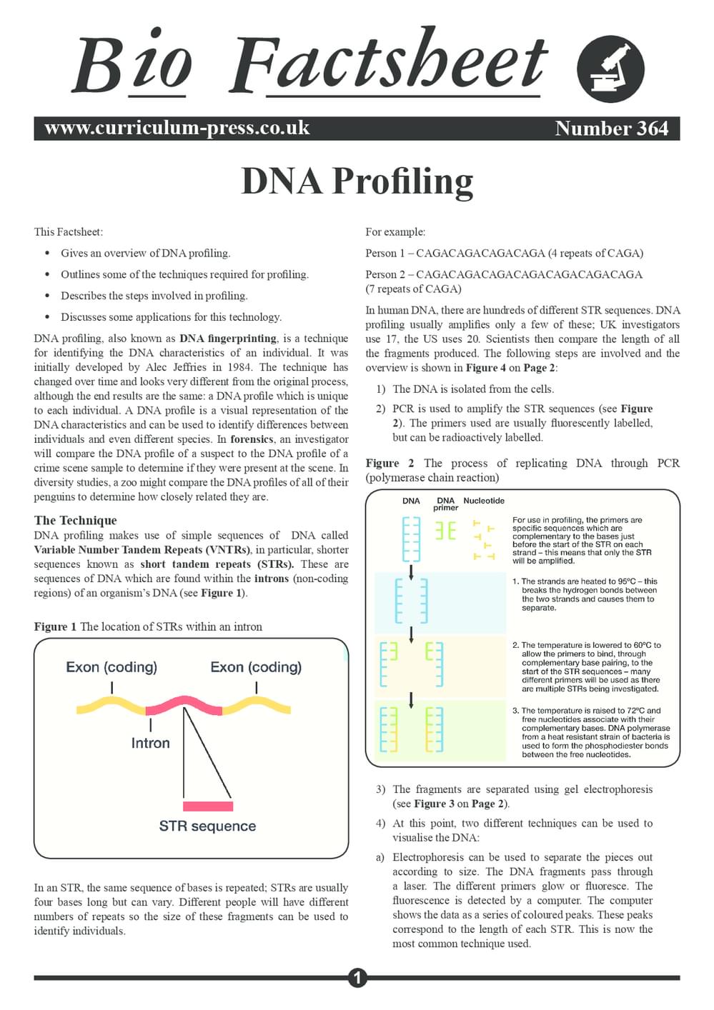 DNA Profiling - Curriculum Press