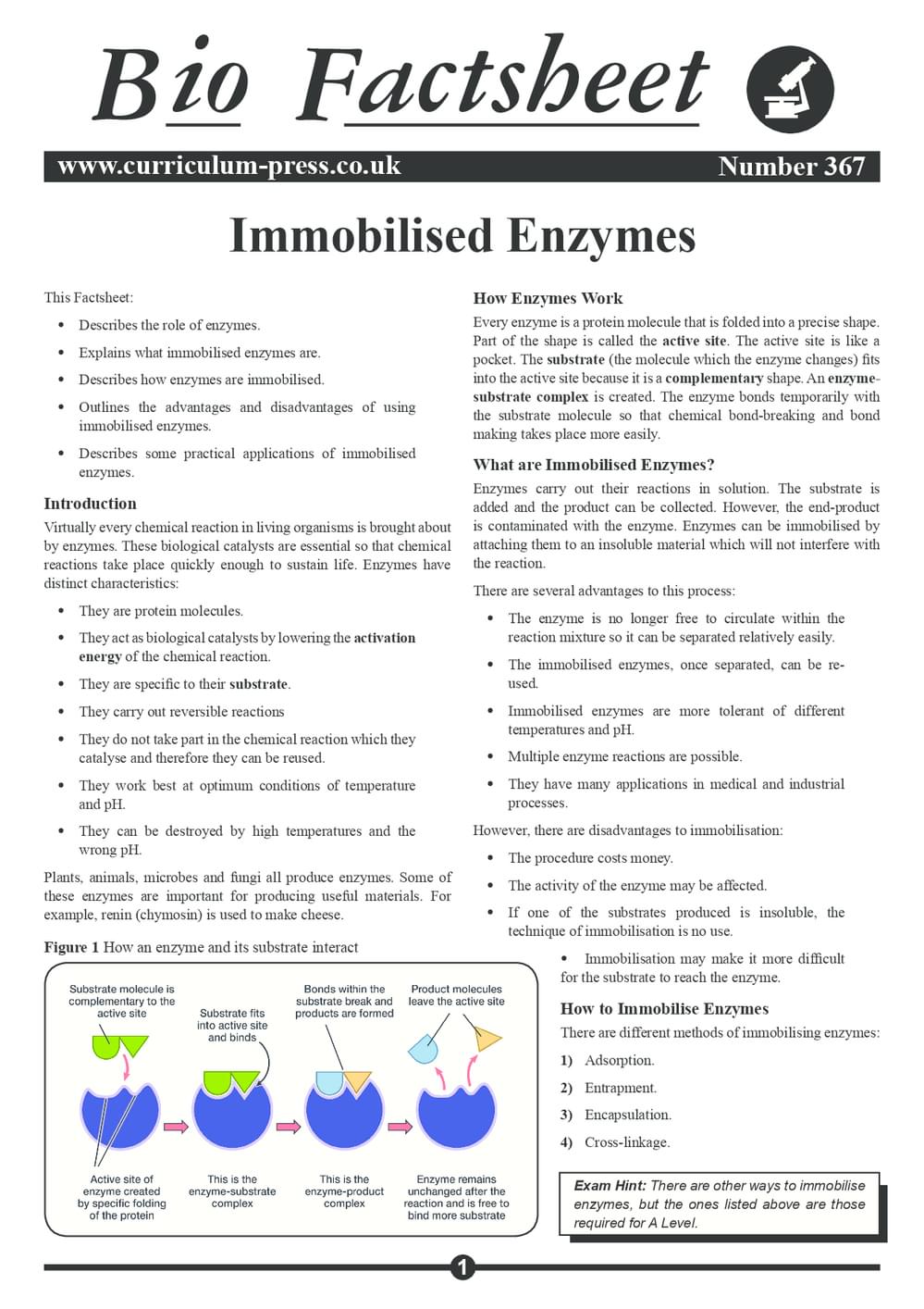 367 Immobilised Enzymes V2