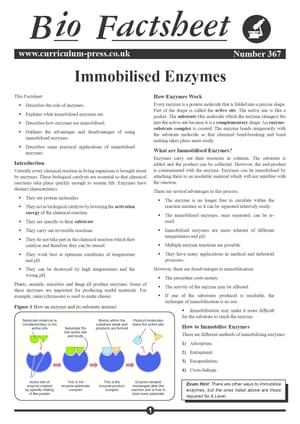 367 Immobilised Enzymes V2
