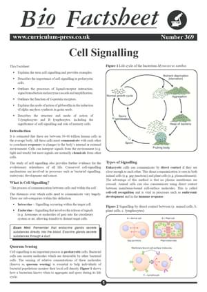 369 Cell Signalling V2