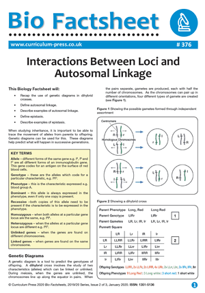 376 Interactions Between Loci and Autosomal Linkage v2