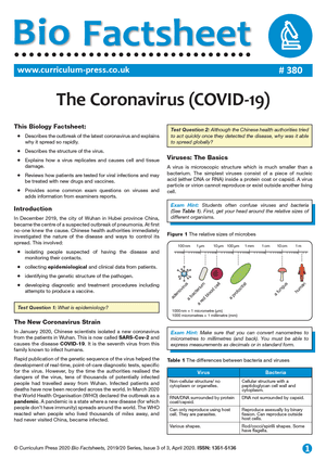 380 The Corona virus COVID 19