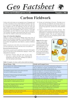 384 Carbon Fieldwork V2