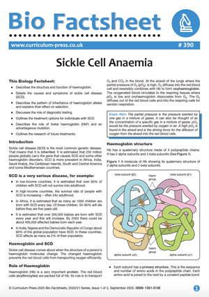 390 Sickle Cell Anaemia