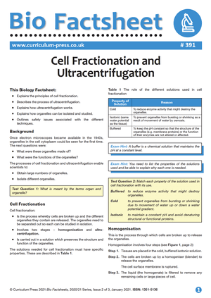 391 Cell Fractionation and Ultracentrifugation
