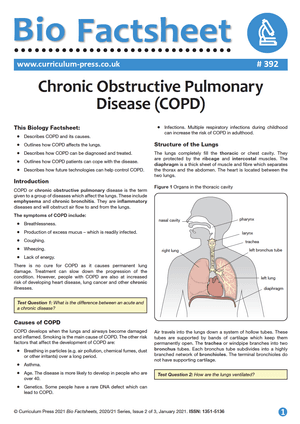 392 Chronic Obstructive Pulmonary Disease COPD